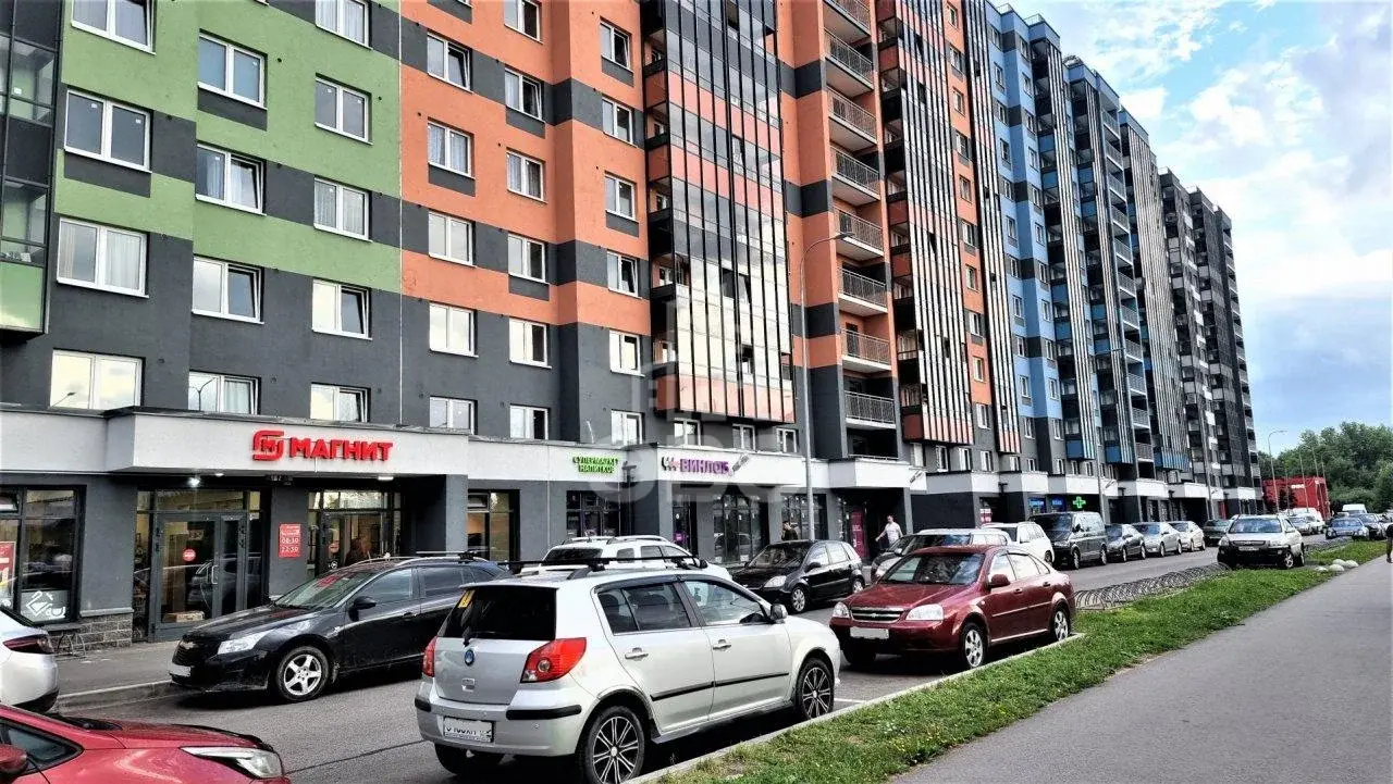 двухкомнатная квартира в Санкт-Петербурге по адресу: Пискарёвский проспект, 165, к 1