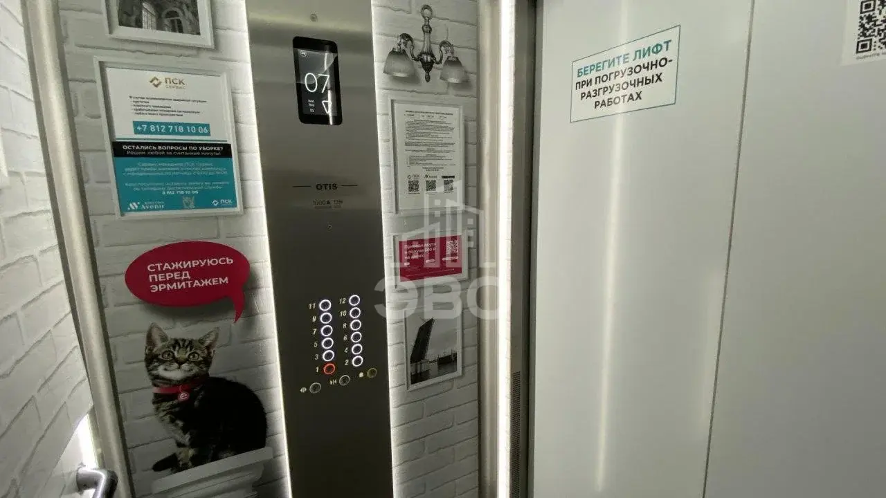 студия в Санкт-Петербурге по адресу: На Турухтанные острова дорога., 5, к 1