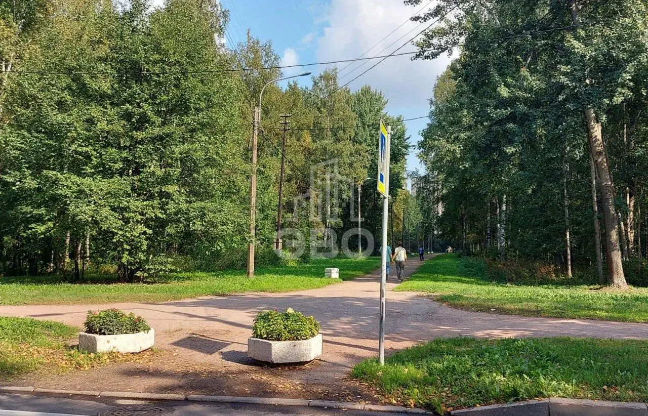 однокомнатная квартира в Санкт-Петербурге по адресу: Солдата Корзуна ул., 30