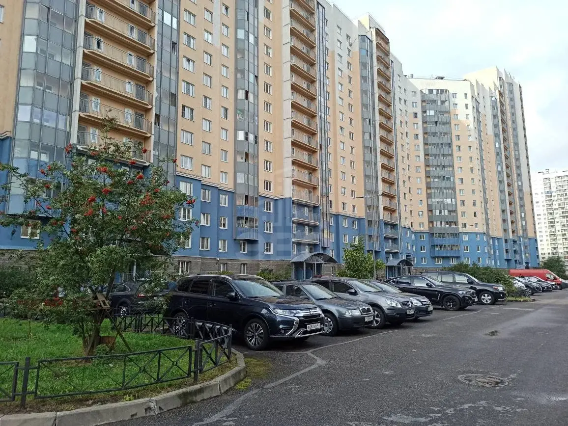 однокомнатная квартира в Санкт-Петербурге по адресу: Коллонтай ул., 5/1, литера А