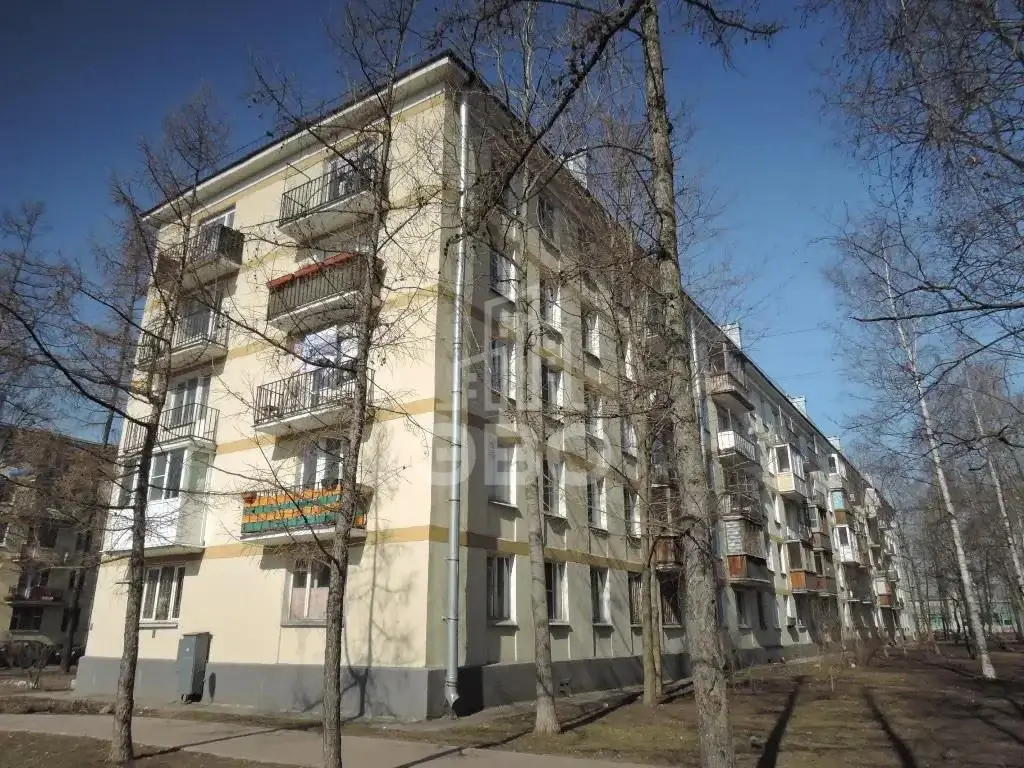 однокомнатная квартира в Санкт-Петербурге по адресу: Благодатная ул., 15, литера а