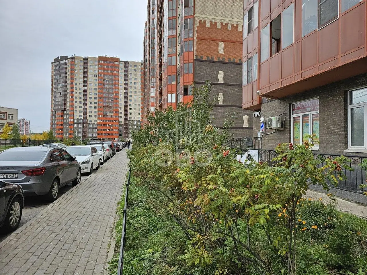 однокомнатная квартира в Санкт-Петербурге по адресу: Шоссе в Лаврики ул., 85