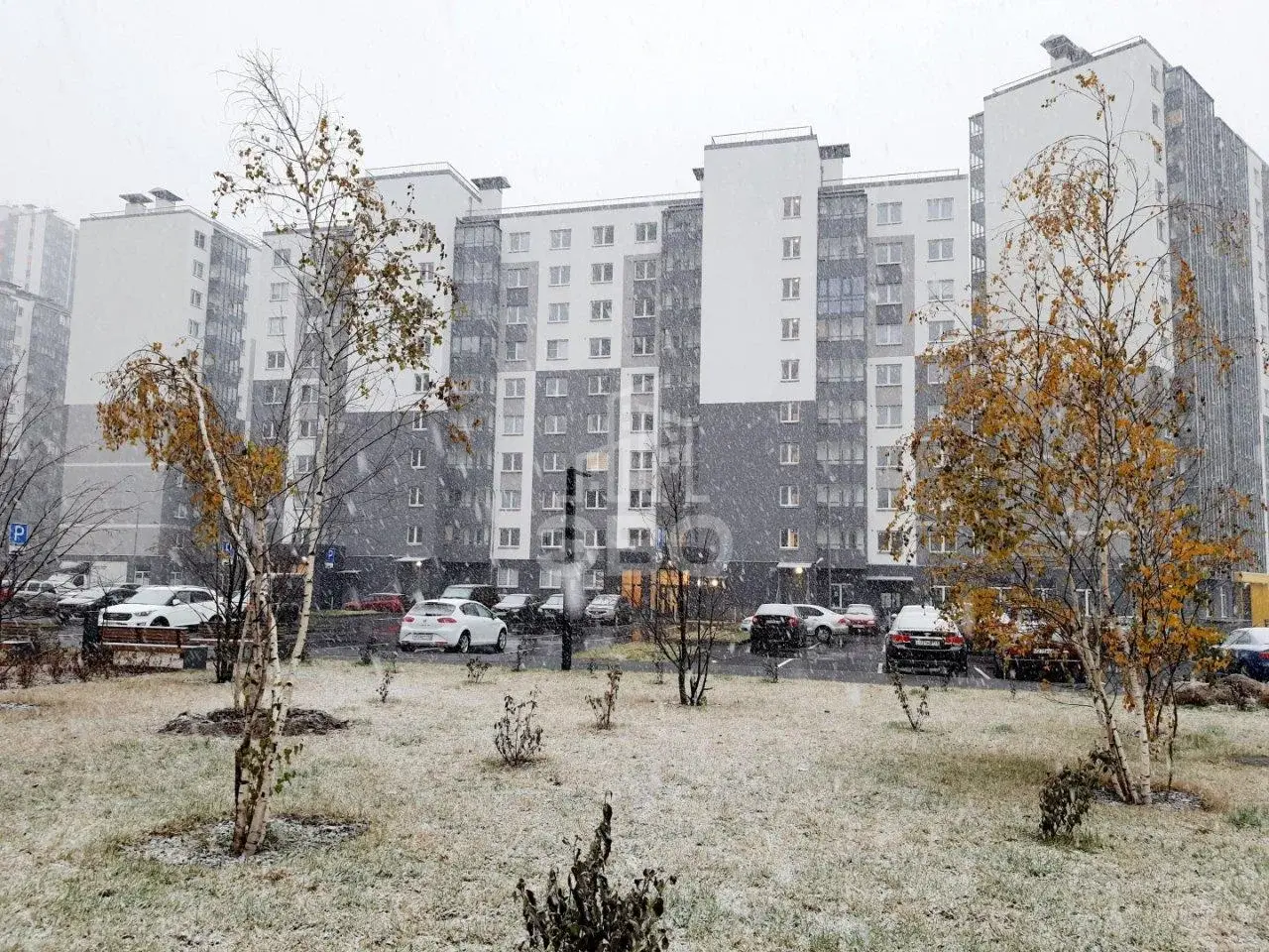 студия в Санкт-Петербурге по адресу: Орлово-Денисовский проспект, 15, к 1