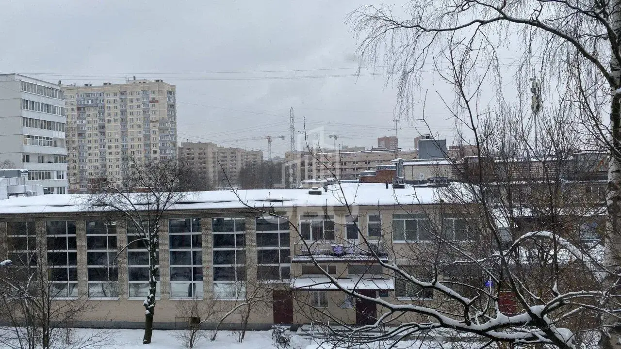 однокомнатная квартира в Санкт-Петербурге по адресу: Вавиловых ул., 13, к 2