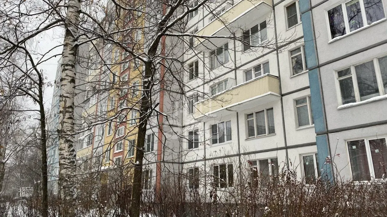 однокомнатная квартира в Санкт-Петербурге по адресу: Вавиловых ул., 13, к 2
