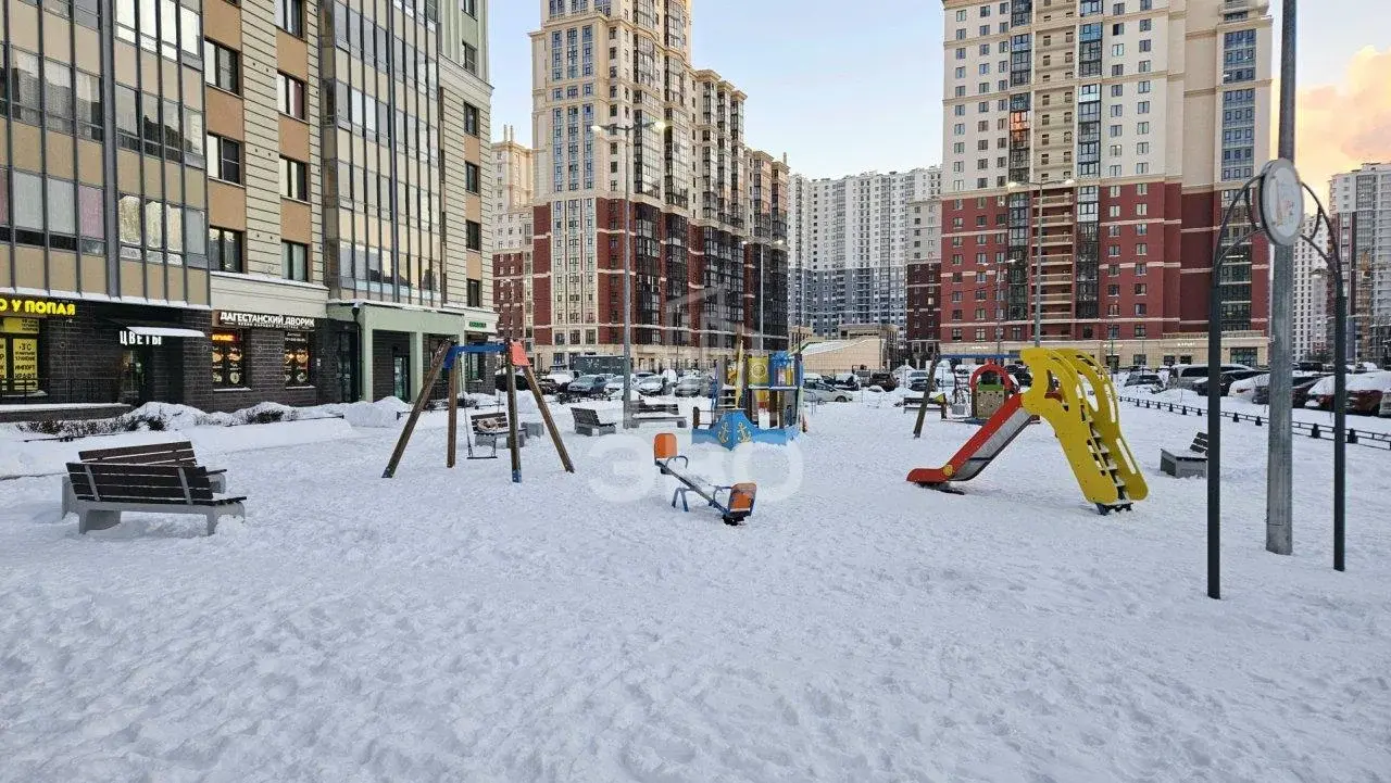 однокомнатная квартира в Санкт-Петербурге по адресу: Дальневосточный проспект, 27, к 3