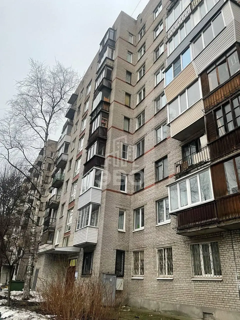 однокомнатная квартира в Санкт-Петербурге по адресу: Руставели ул., 50