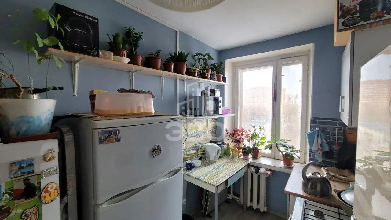 комната в Санкт-Петербурге по адресу: Просвещения проспект, 84, к 1