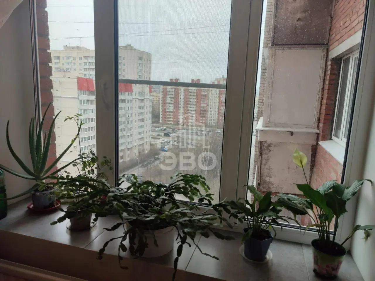 комната в Санкт-Петербурге по адресу: Асафьева ул., 6, к 2