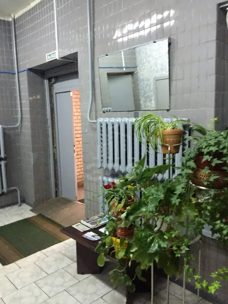 однокомнатная квартира в Санкт-Петербурге по адресу: Ушинского ул., 37, к.2