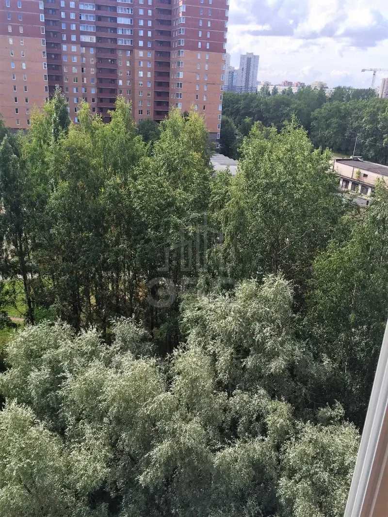 однокомнатная квартира в Санкт-Петербурге по адресу: Ушинского ул., 37, к.2