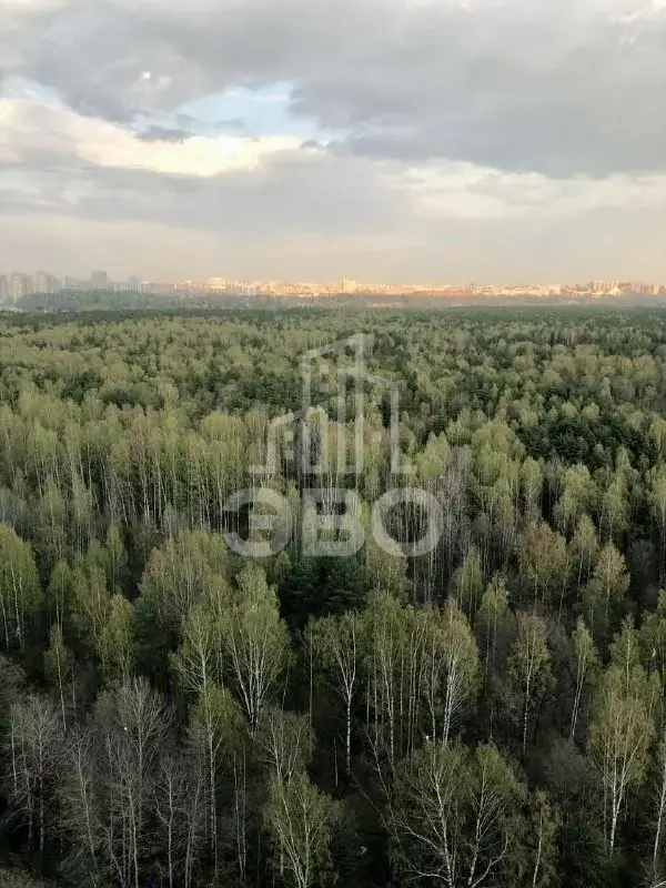 студия в Санкт-Петербурге по адресу: Реки Каменки наб., 23
