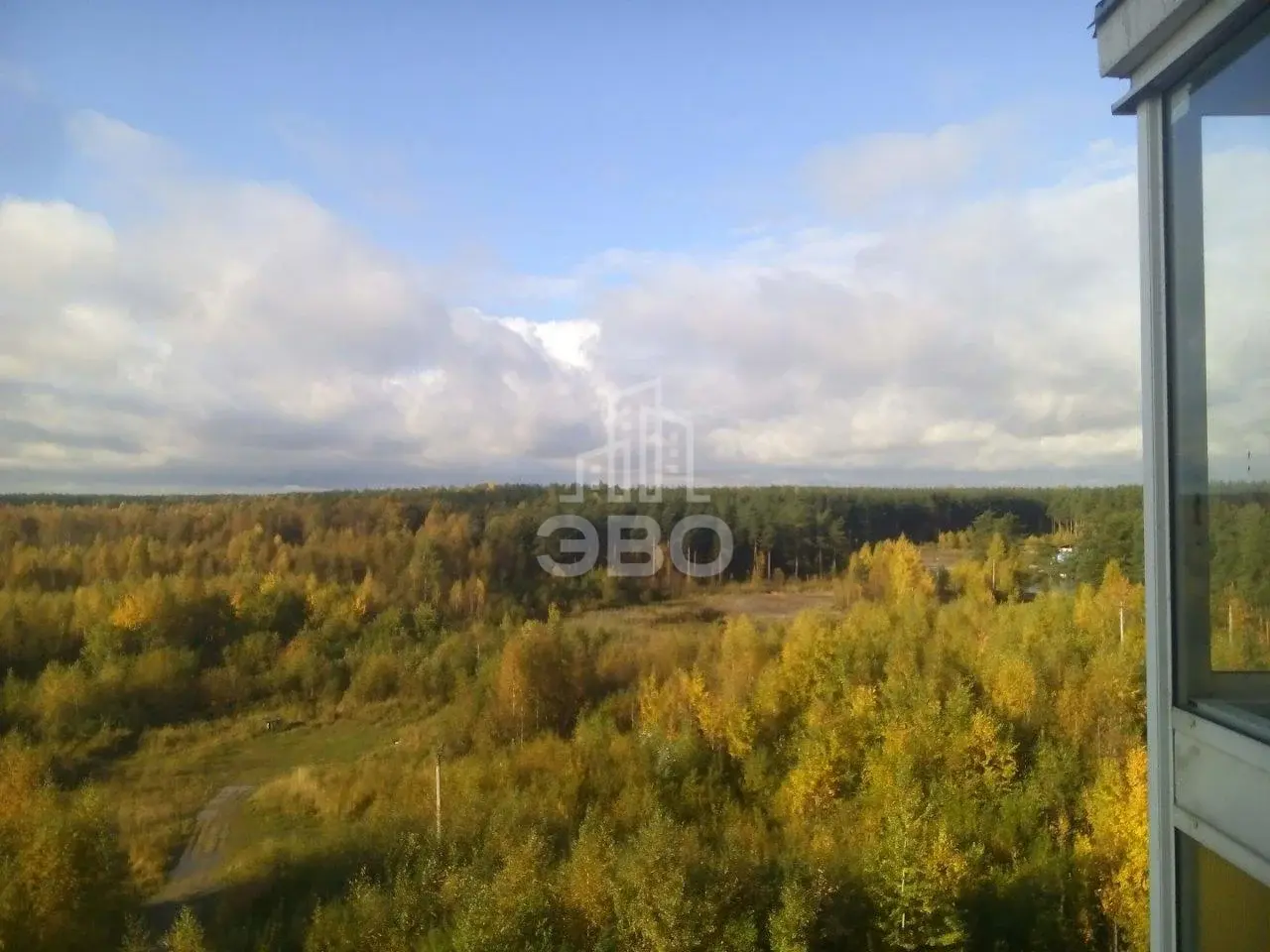 однокомнатная квартира в Санкт-Петербурге по адресу: Аэропортовская ул., 14