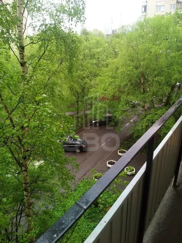двухкомнатная квартира в Санкт-Петербурге по адресу: Витебский пр-кт., 29, к.2