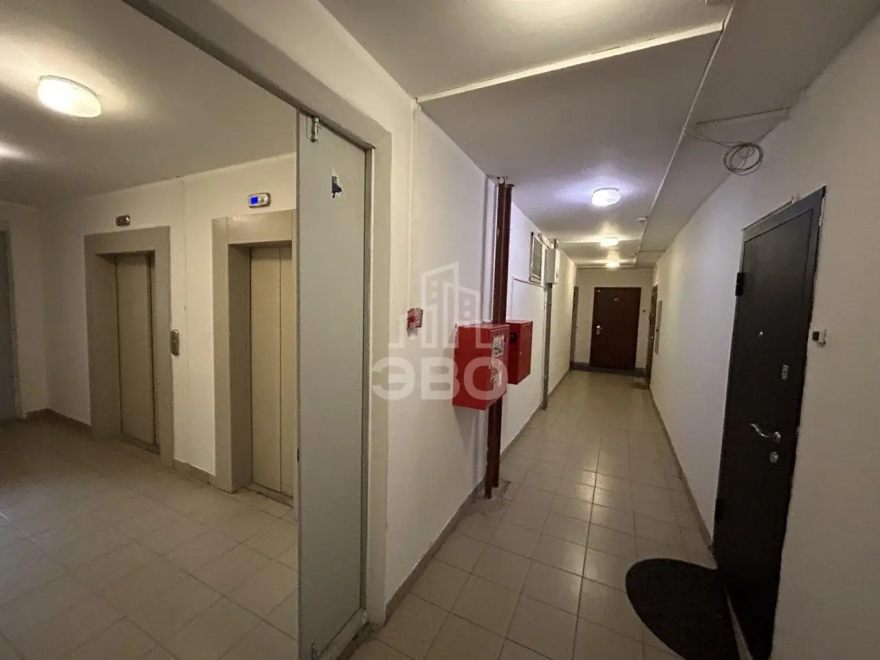 студия в Санкт-Петербурге по адресу: Туристская ул., 24/42