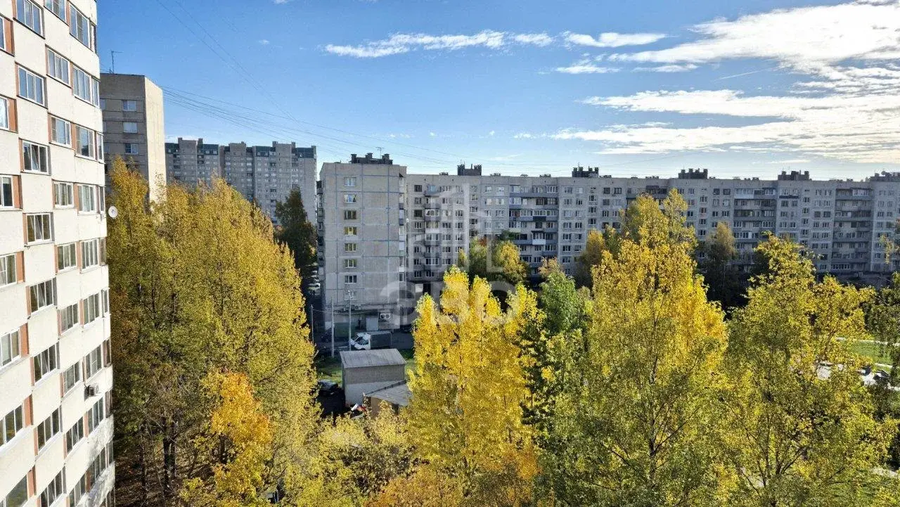 однокомнатная квартира в Санкт-Петербурге по адресу: Культуры проспект, 22, к 2