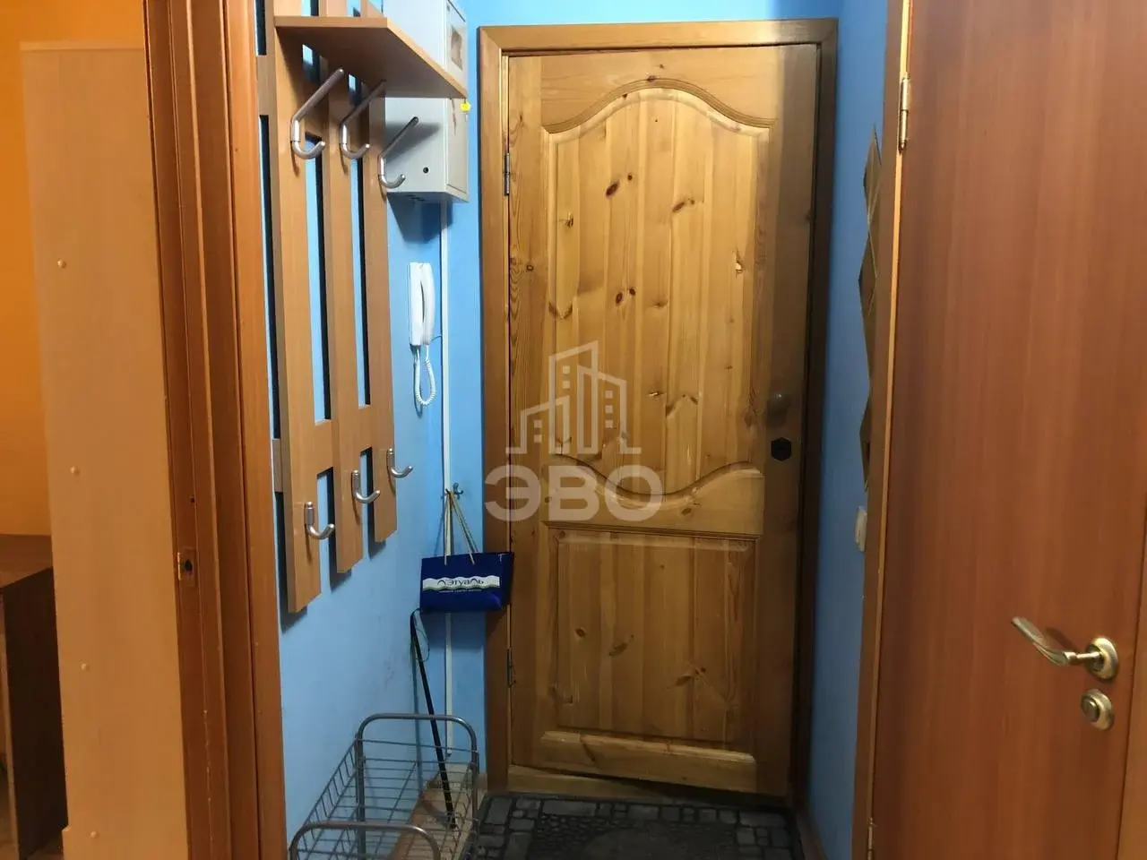однокомнатная квартира в Санкт-Петербурге по адресу: Пискарёвский проспект, 9, к 2