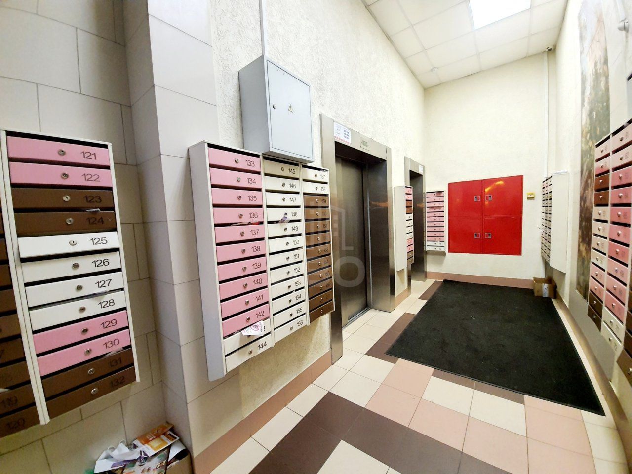 студия в Ленинградская область по адресу: Столичная ул., 11, к 1