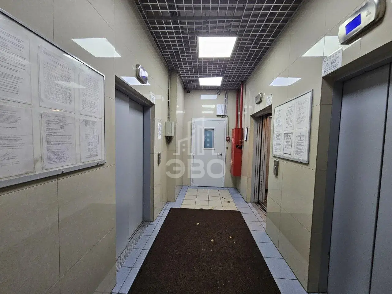 студия в Санкт-Петербурге по адресу: Королёва проспект, 7