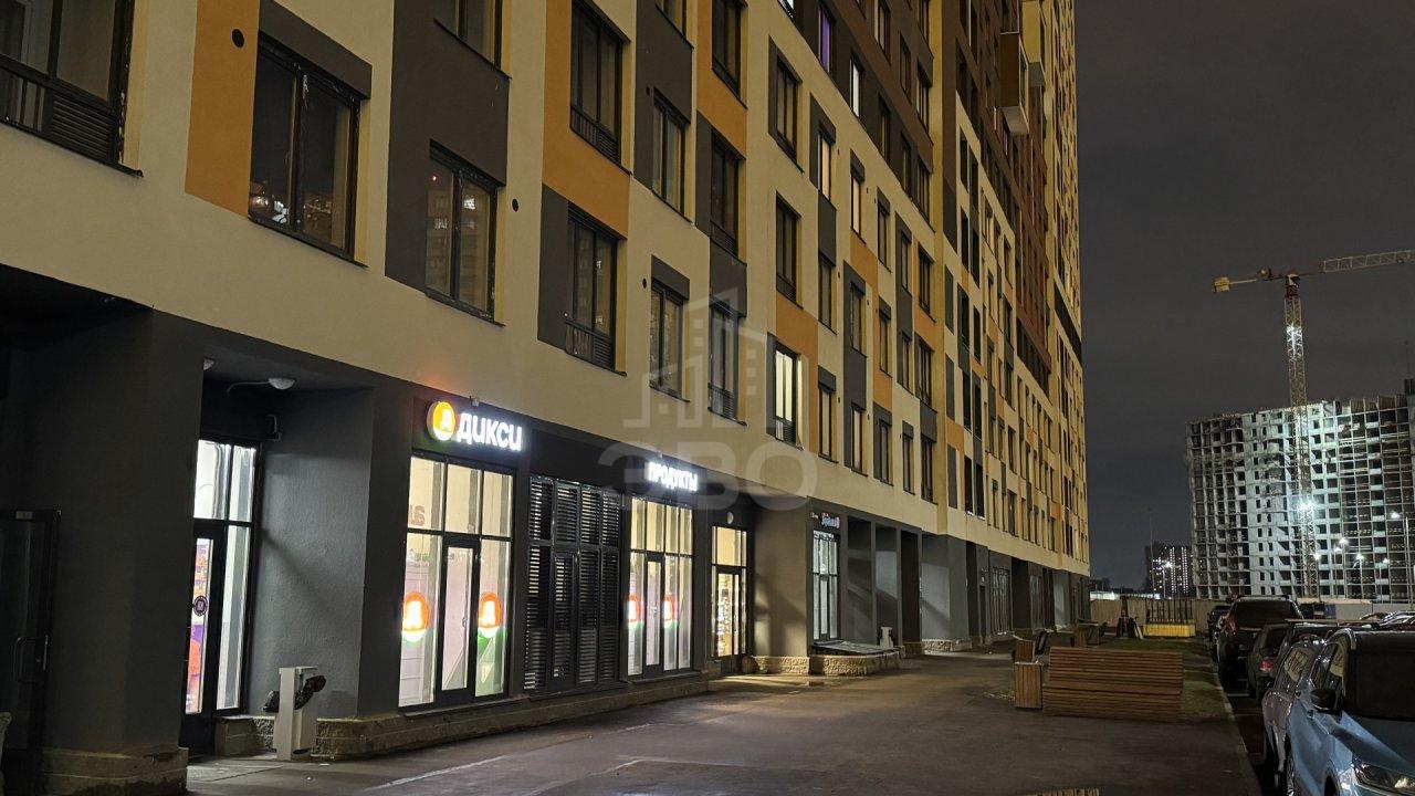 однокомнатная квартира в Ленинградской области по адресу: Первых ул., 4, к 3