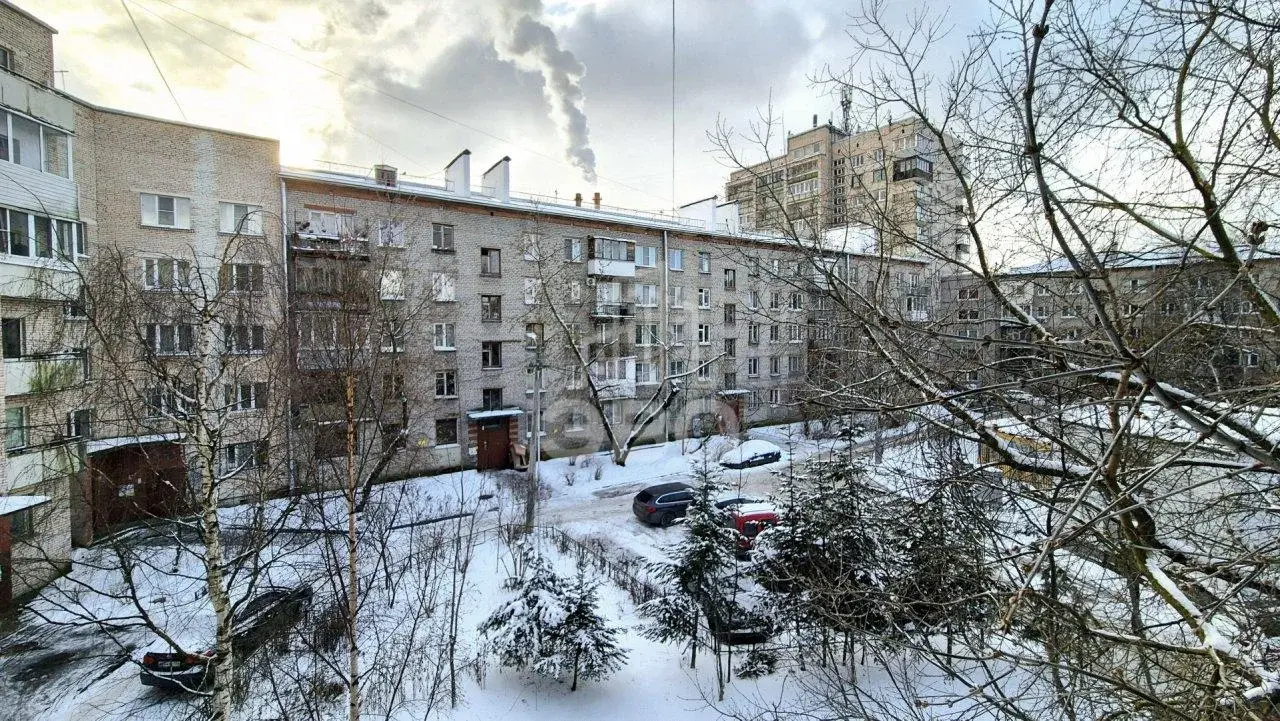 однокомнатная квартира в Санкт-Петербурге по адресу: Ланское ш., 4