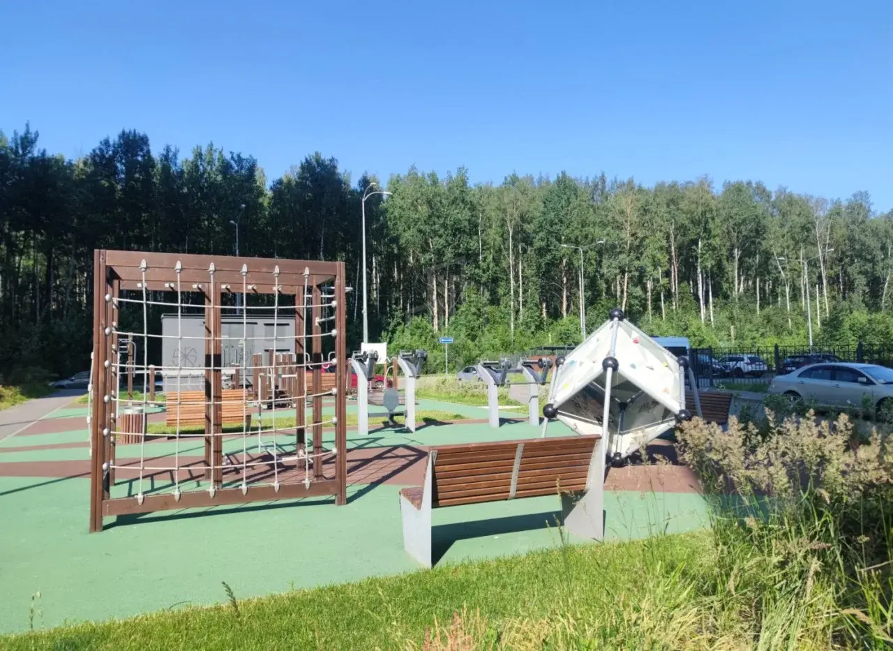 однокомнатная квартира в Санкт-Петербурге по адресу: Муринская дорога., 31, к 3, строение 1