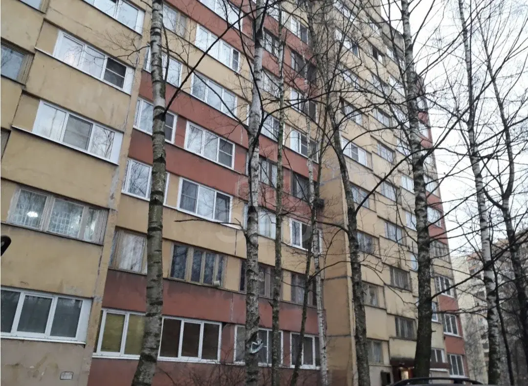 двухкомнатная квартира в Санкт-Петербурге по адресу: Кузнецова проспект, 25, к 1
