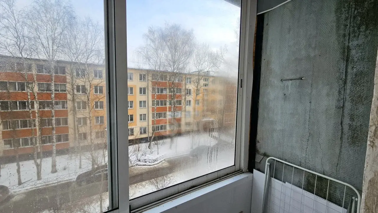однокомнатная квартира в Санкт-Петербурге по адресу: Витебский проспект, 77