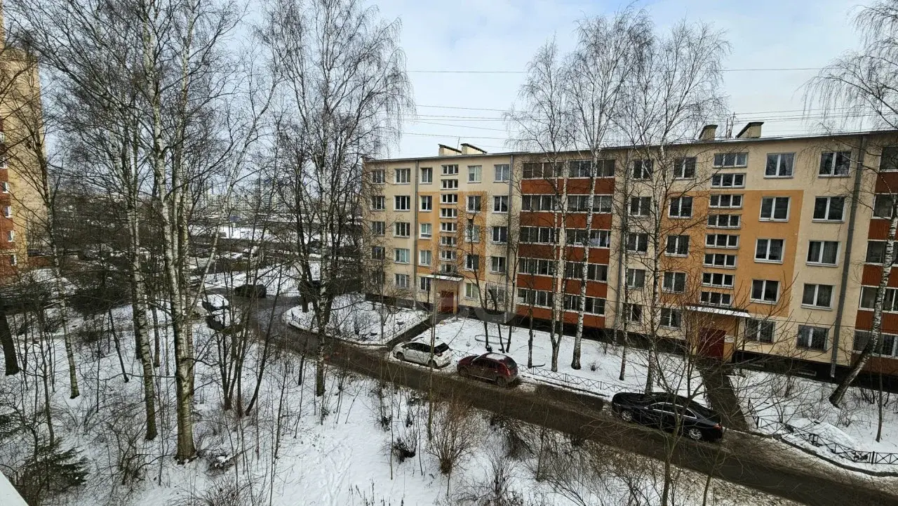 однокомнатная квартира в Санкт-Петербурге по адресу: Витебский проспект, 77