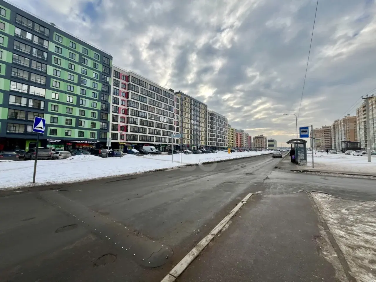 однокомнатная квартира в Ленинградской области по адресу: Тюльпанов ул., 1
