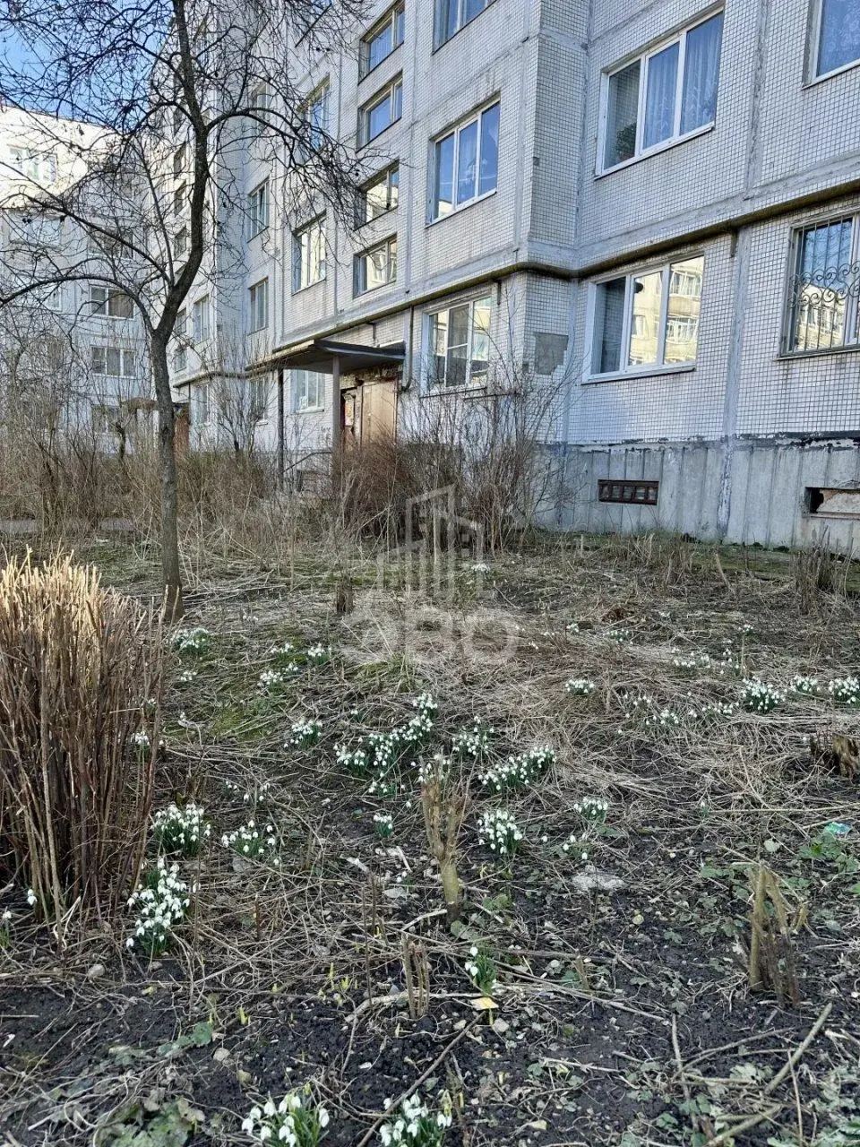 двухкомнатная квартира в Санкт-Петербурге по адресу: Хохлова ул., 6