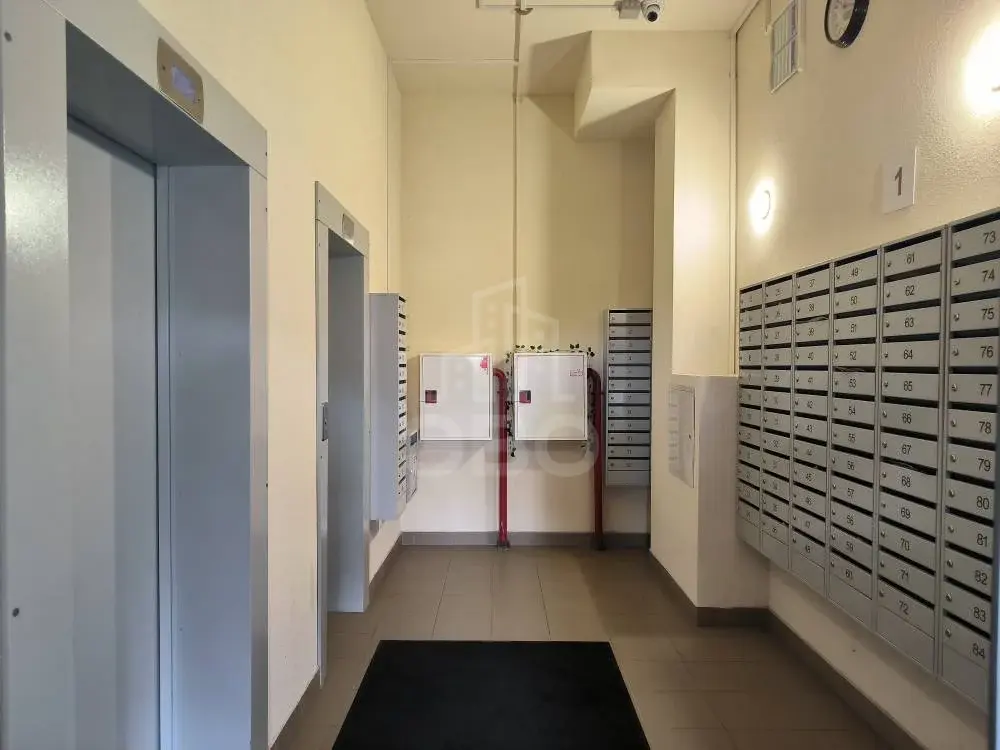 однокомнатная квартира в Санкт-Петербурге по адресу: Тихая ул., 13, к 1
