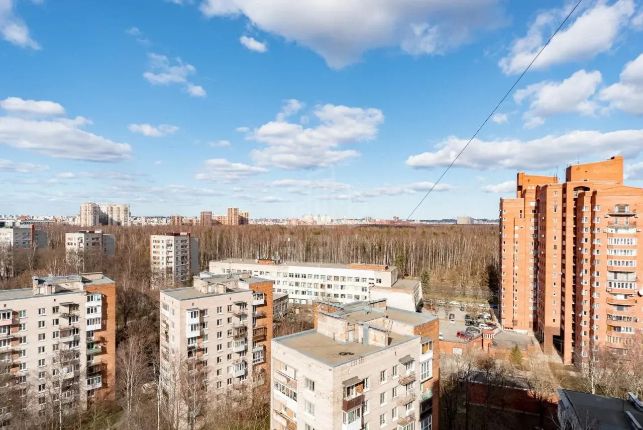 трехкомнатная квартира в Санкт-Петербурге по адресу: Гаврская ул., 15