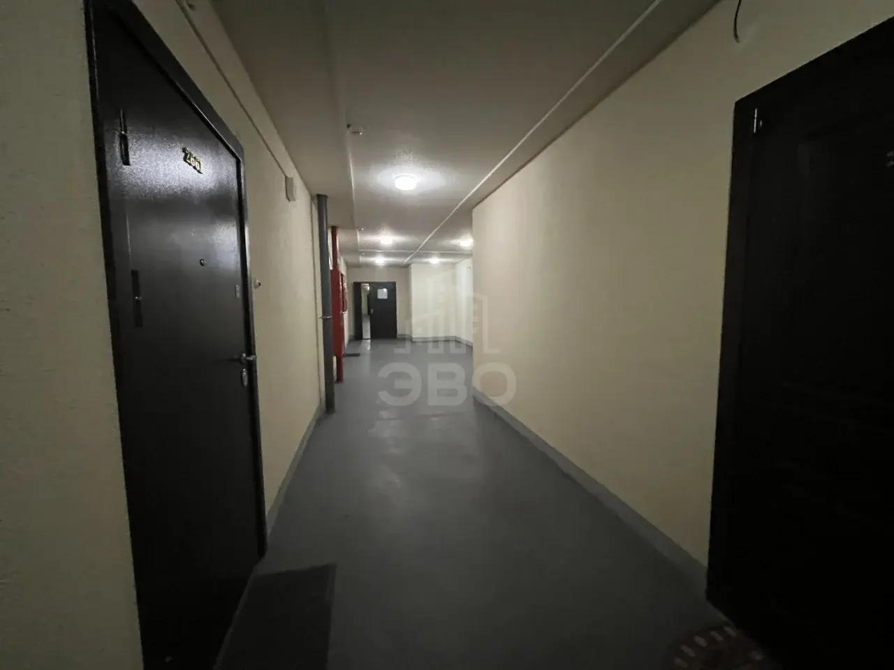 однокомнатная квартира в Санкт-Петербурге по адресу: Фёдора Абрамова ул., 8