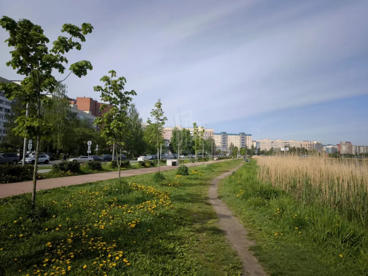трехкомнатная квартира в Санкт-Петербурге по адресу: Королёва проспект, 29, к 1, литера А