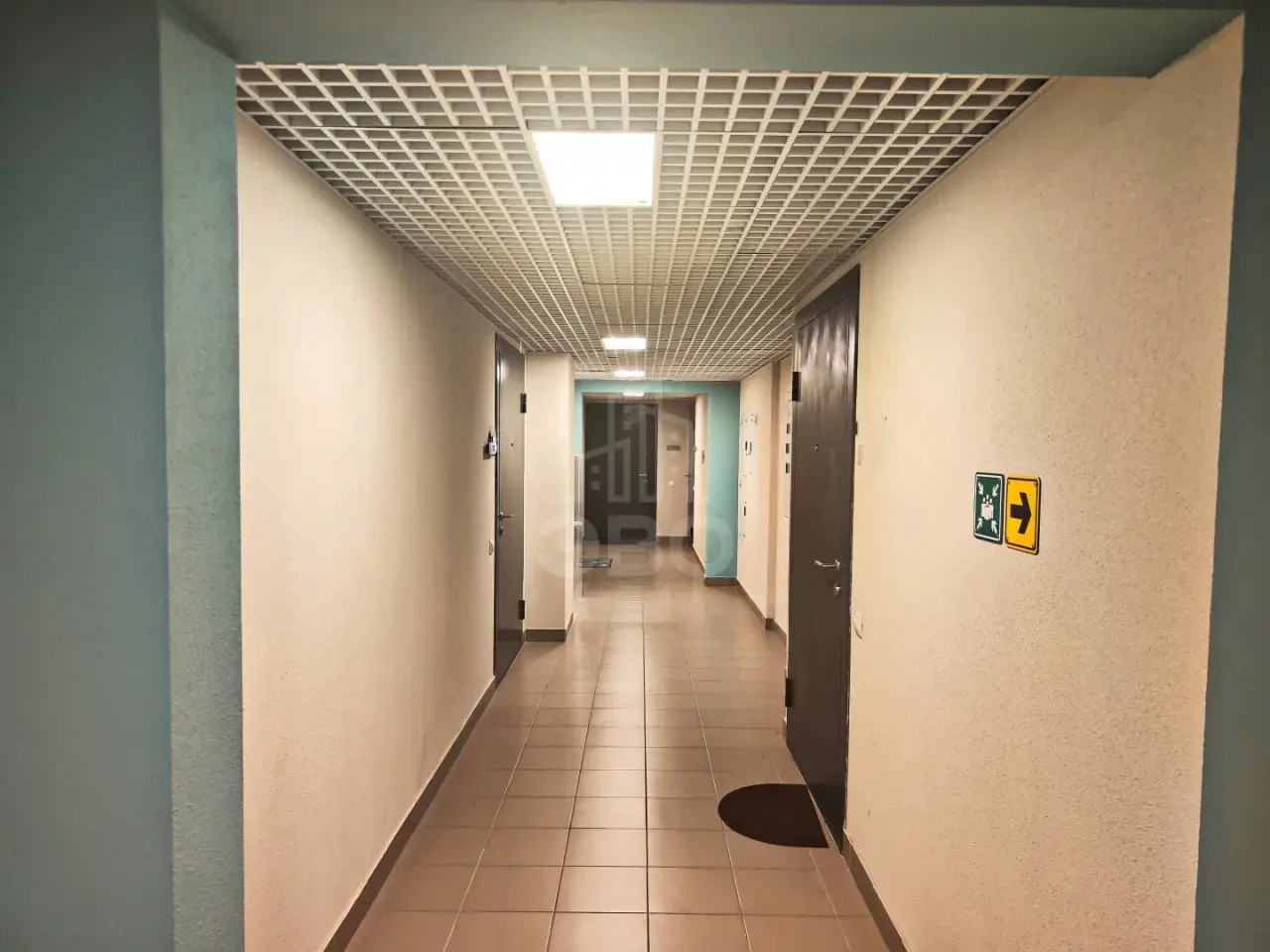 студия в Санкт-Петербурге по адресу: Муринская дорога., 8, к 2, строение 1