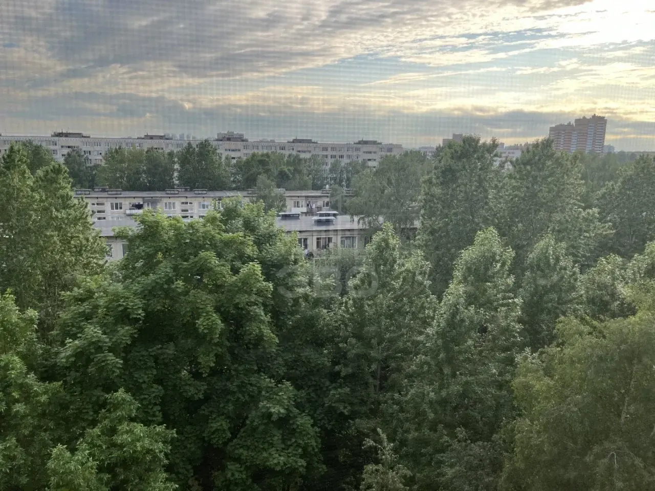 трехкомнатная квартира в Санкт-Петербурге по адресу: Турку ул., 17, к 2