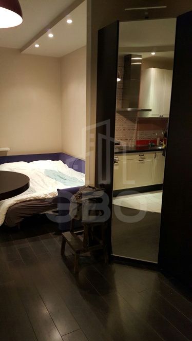 однокомнатная квартира в Санкт-Петербурге по адресу: Королева проспект, 7