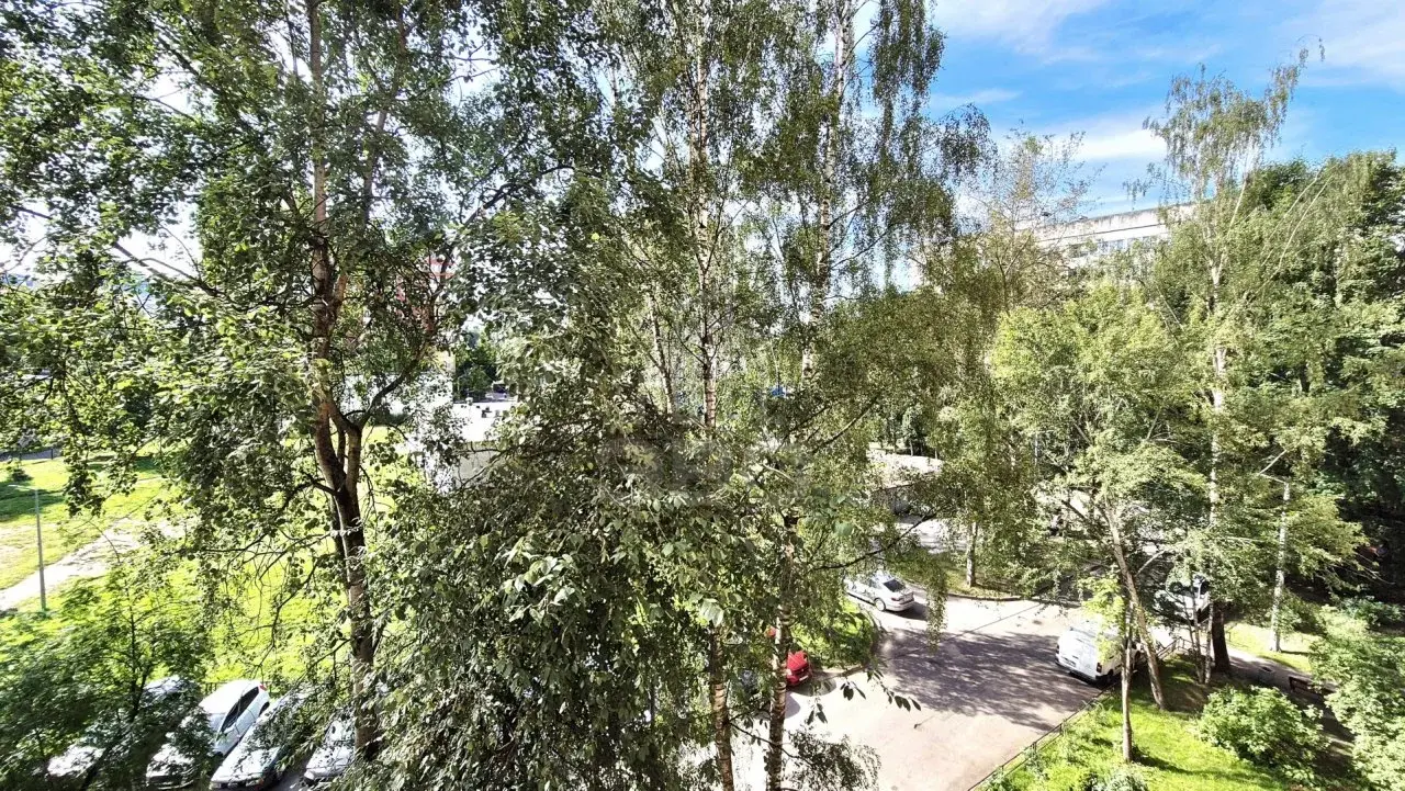 трехкомнатная квартира в Санкт-Петербурге по адресу: Парашютная ул., 4, к 1