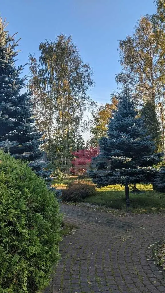 однокомнатная квартира в Санкт-Петербурге по адресу: Металлистов проспект, 83