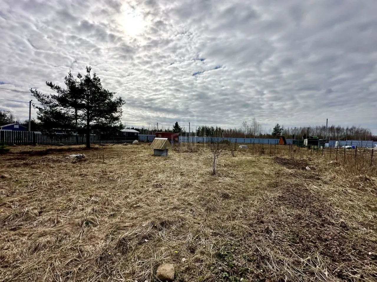 загородная недвижимость в Санкт-Петербурге по адресу: 15-я линия
