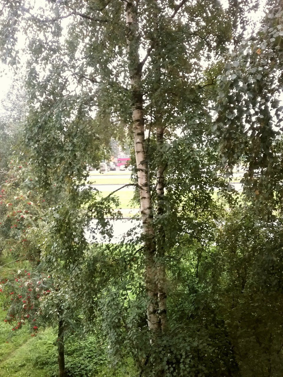 однокомнатная квартира в Санкт-Петербурге по адресу: Большевиков пр-кт., 59, к.1