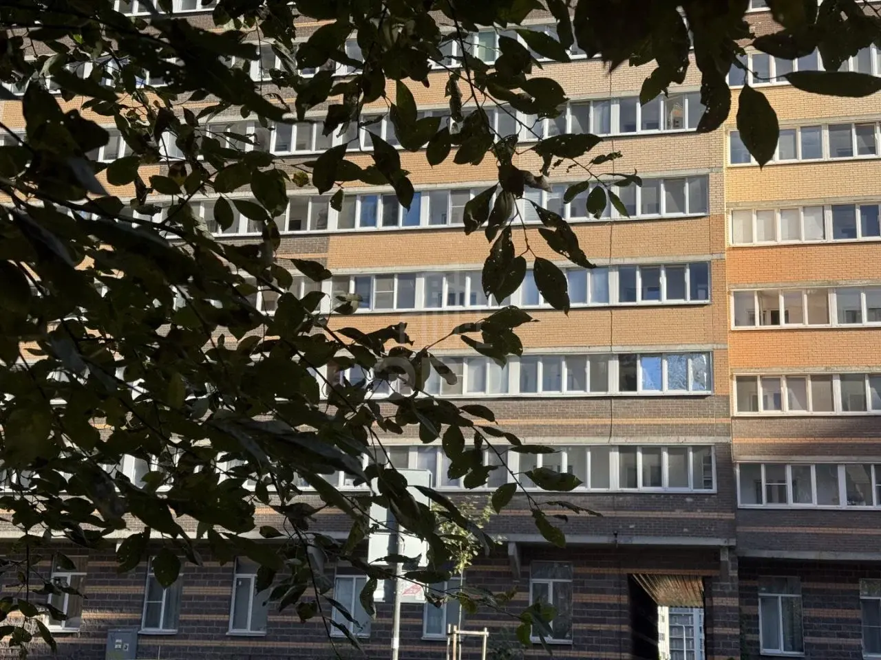 студия в Санкт-Петербурге по адресу: Петровский б-р., 7