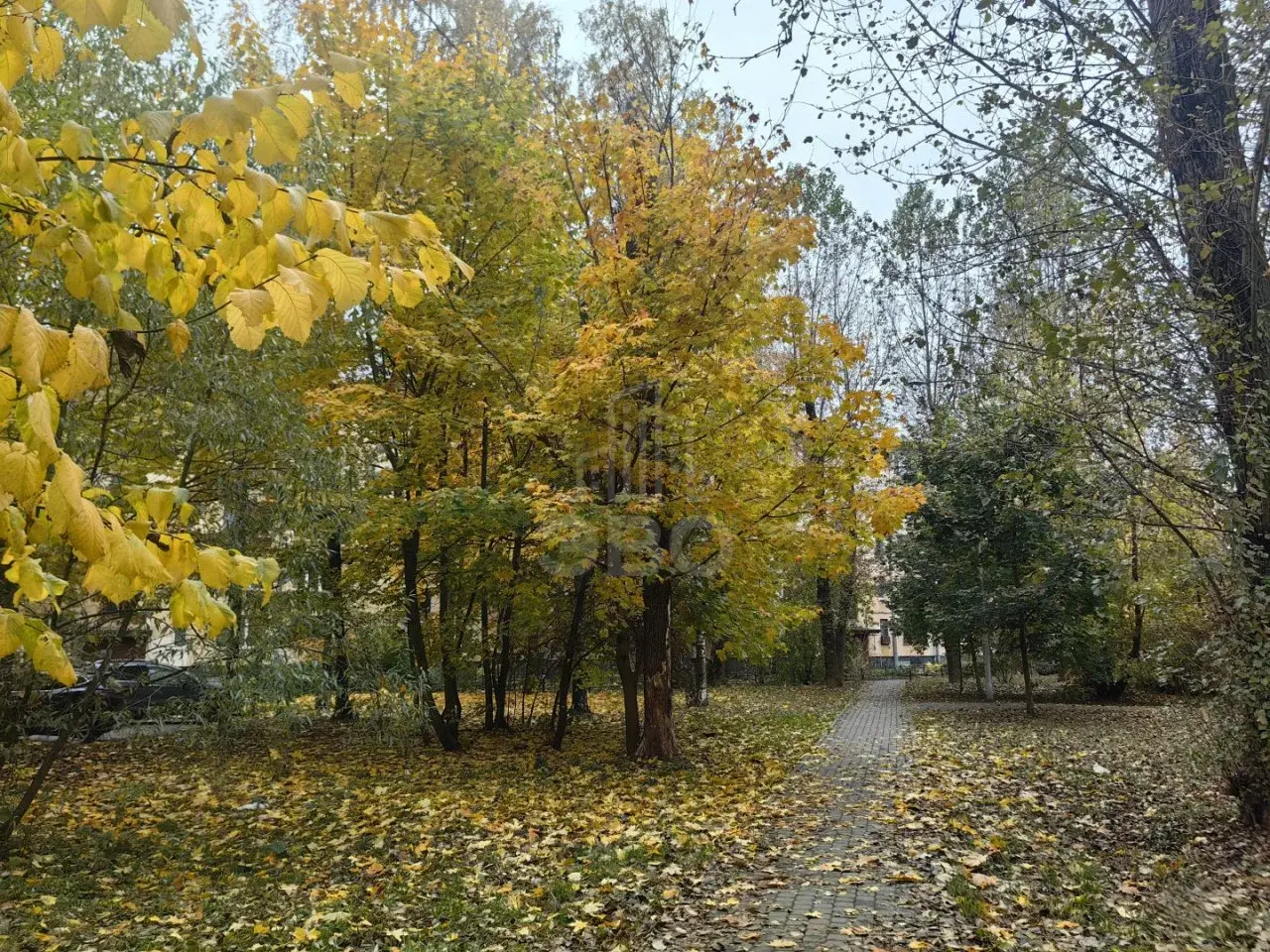 трехкомнатная квартира в Санкт-Петербурге по адресу: Новаторов б-р., 62