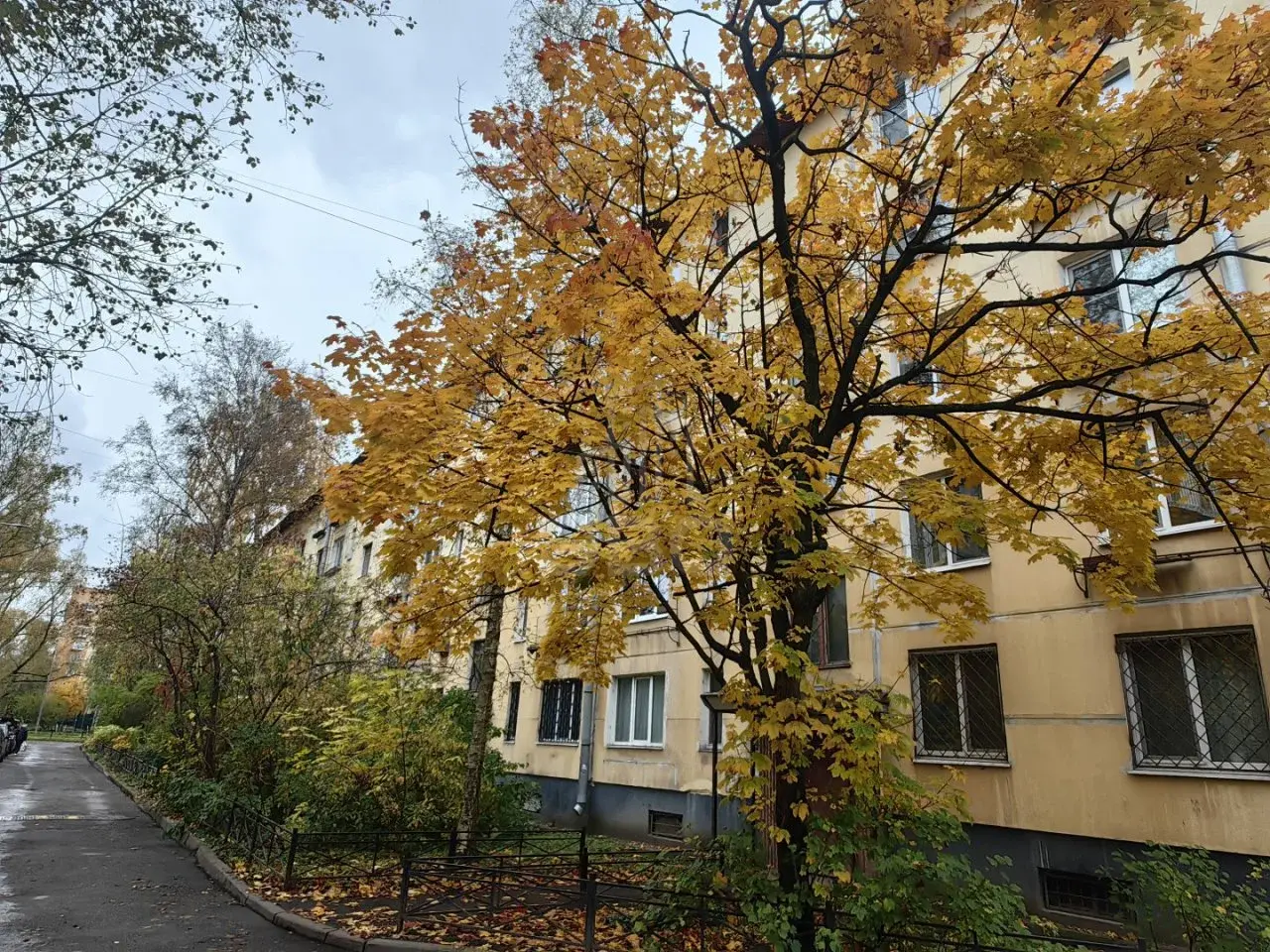 трехкомнатная квартира в Санкт-Петербурге по адресу: Новаторов б-р., 62