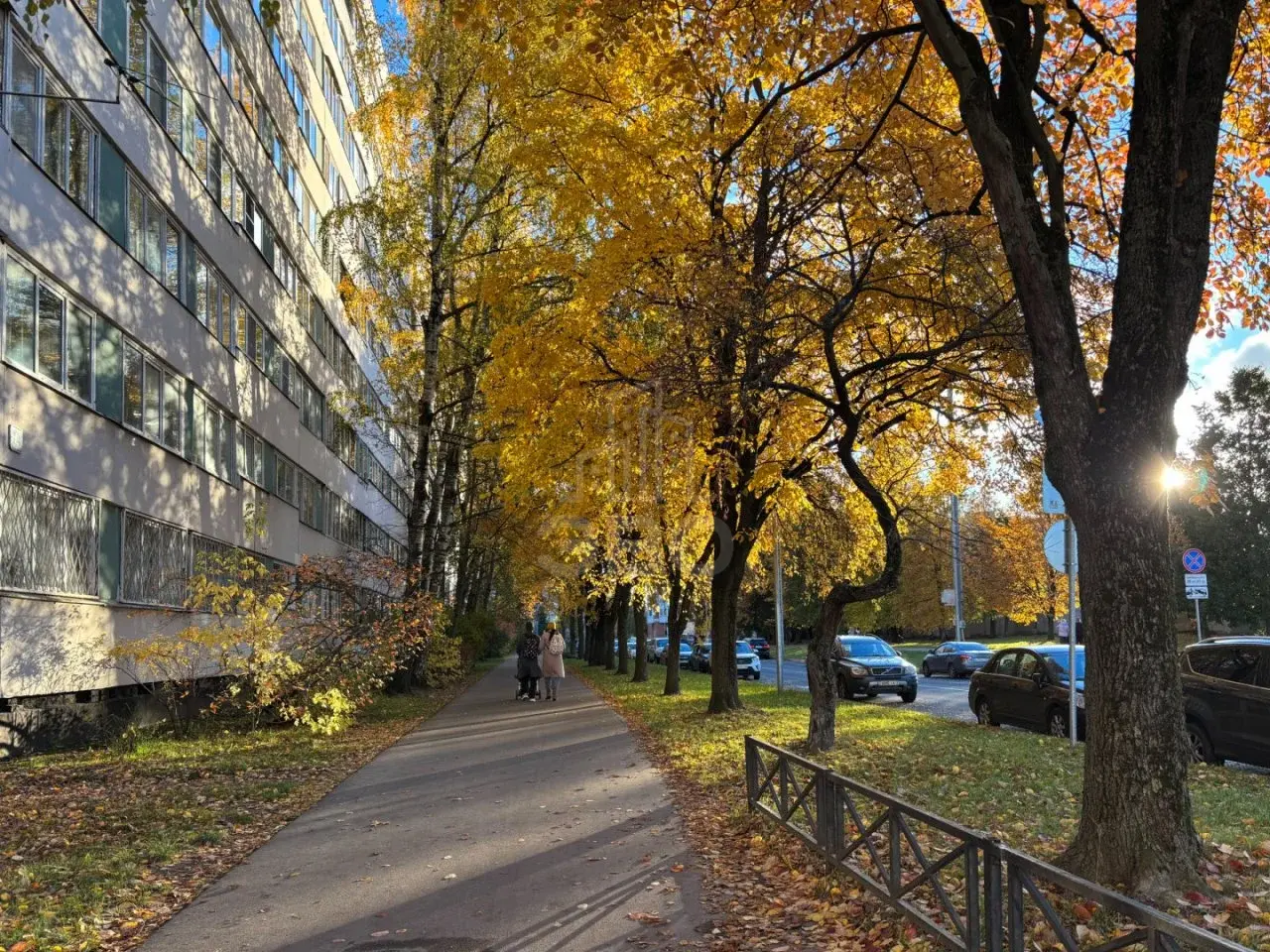 однокомнатная квартира в Санкт-Петербурге по адресу: Ольги Форш ул., 1