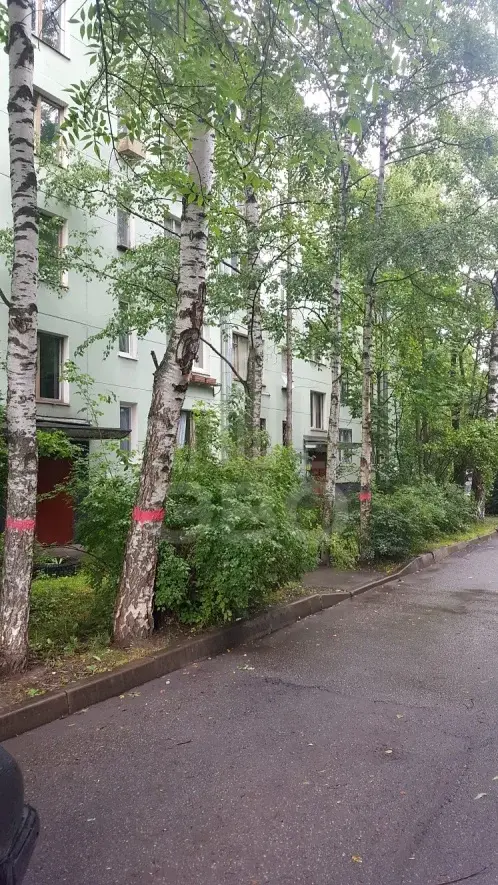 четырехкомнатная квартира в Санкт-Петербурге по адресу: Козлова ул., 43, к.2