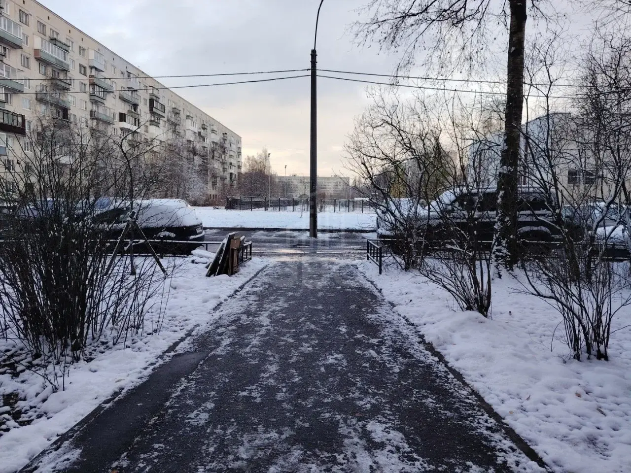 двухкомнатная квартира в Санкт-Петербурге по адресу: Просвещения проспект, 70, к 1