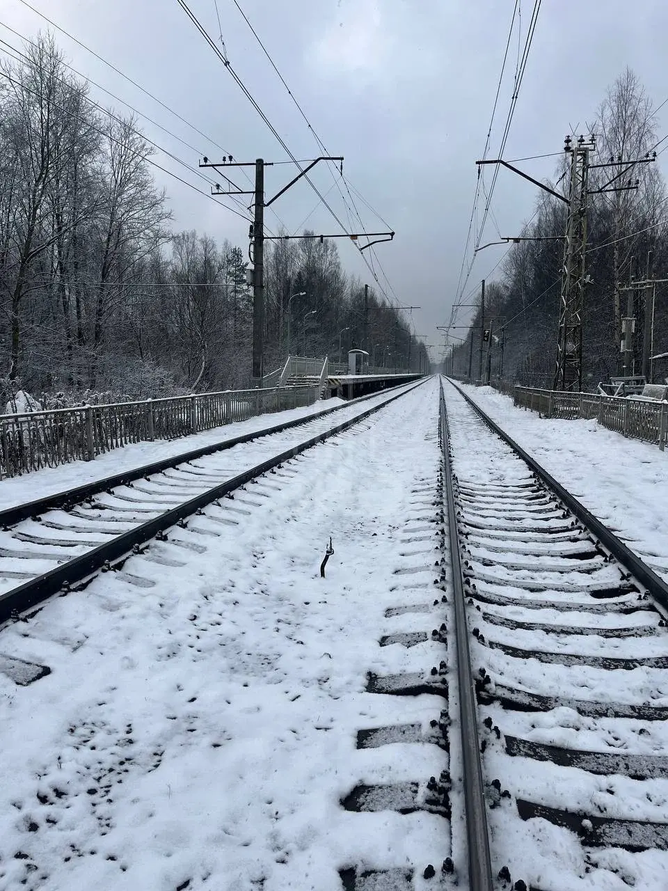 студия в Ленинградской области по адресу: Александра Разгонина ул., 1, к 3