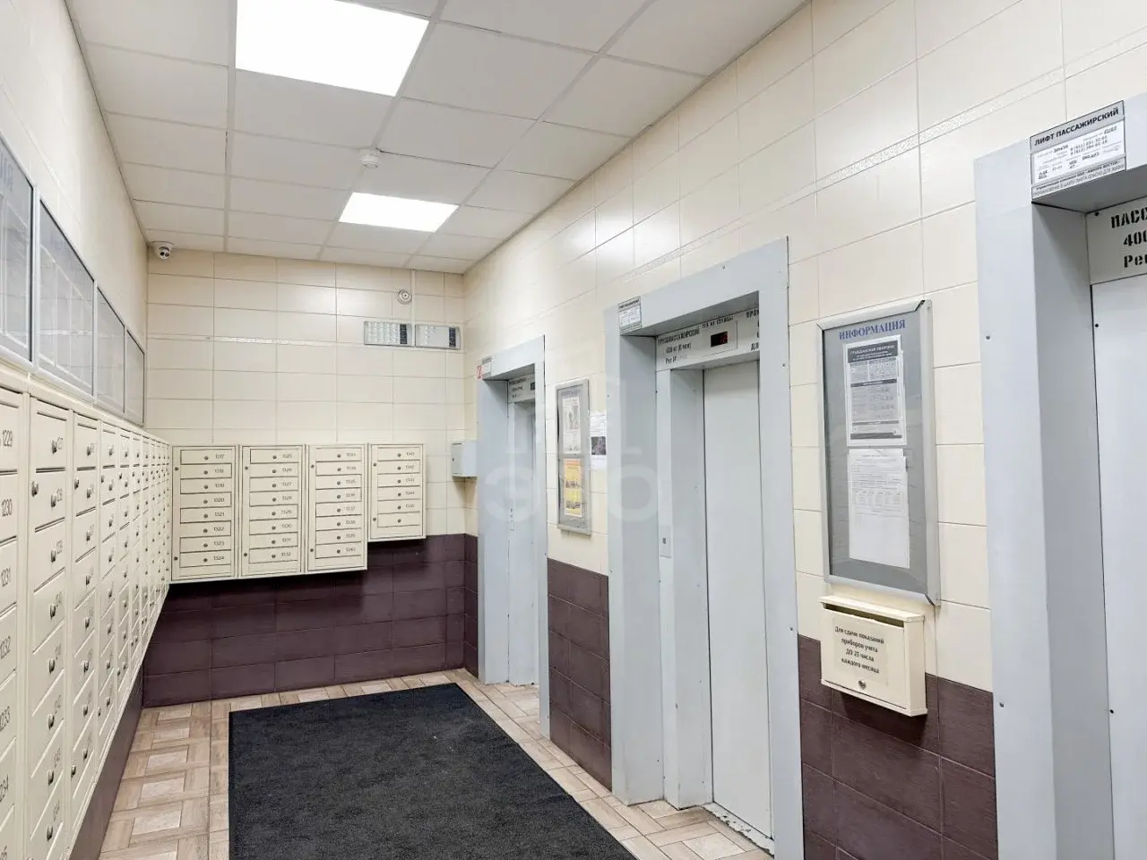 однокомнатная квартира в Санкт-Петербурге по адресу: Коллонтай ул., 5/1, литера А